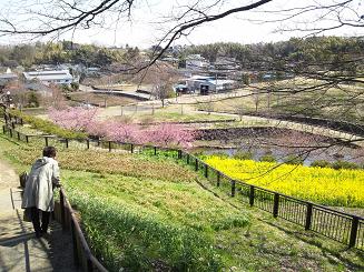 里山公園1
