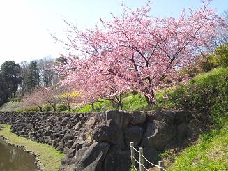 里山公園2