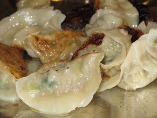 gyoza.JPG