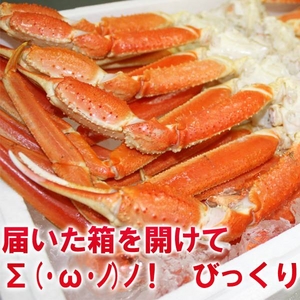 激太ズワイガニ足3kgセット
